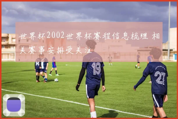 世界杯2002世界杯赛程信息梳理 相关赛事安排受关注