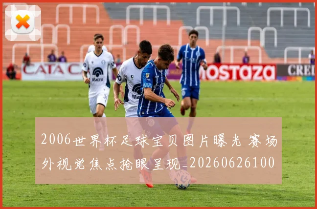 2006世界杯足球宝贝图片曝光 赛场外视觉焦点抢眼呈现_20260626100312