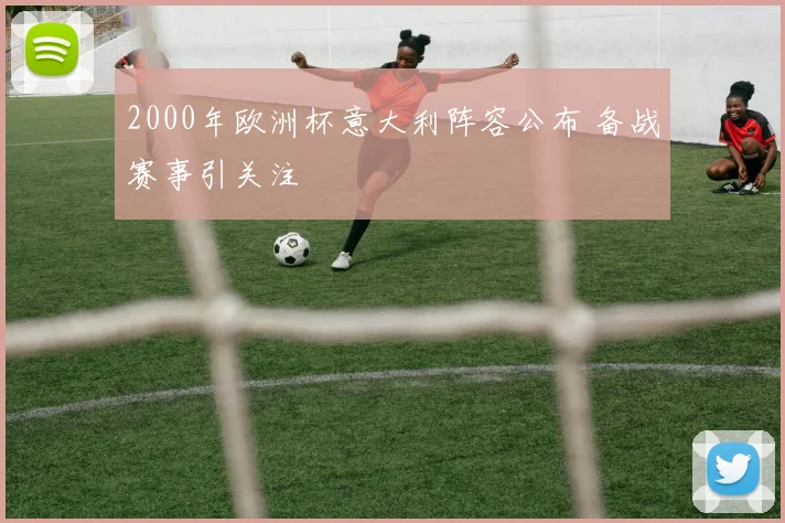 2000年欧洲杯意大利阵容公布 备战赛事引关注
