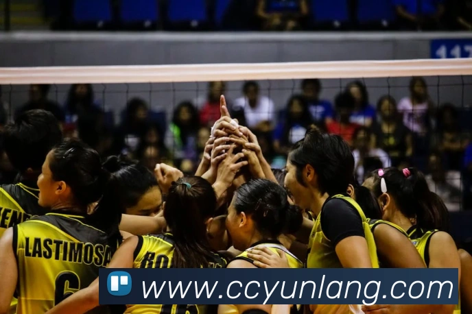 世界杯app官网平台生态图